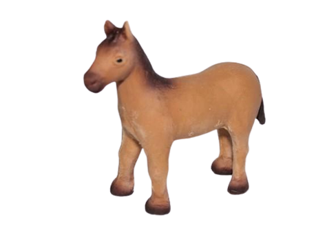 Foal-Brown