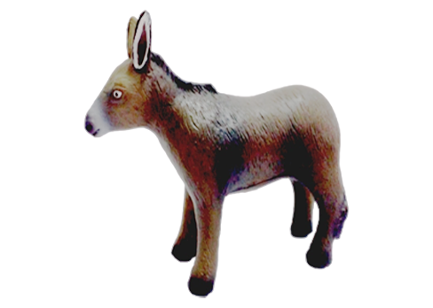 medium-donkey