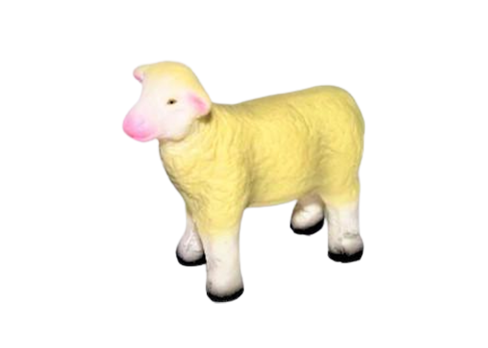 lamb