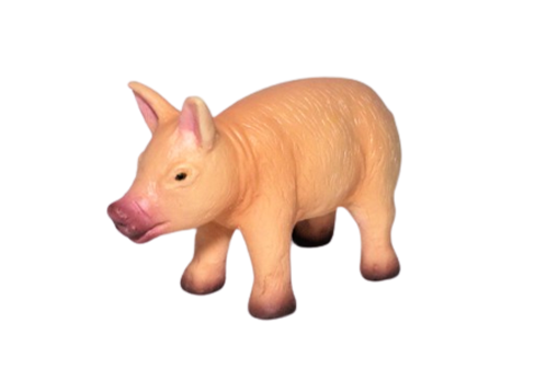 small-pig