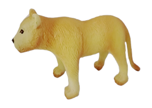 lioness