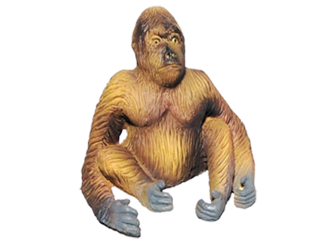organgutan