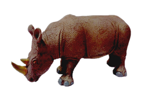 rhinoceros