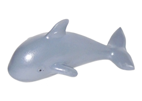 dolphin